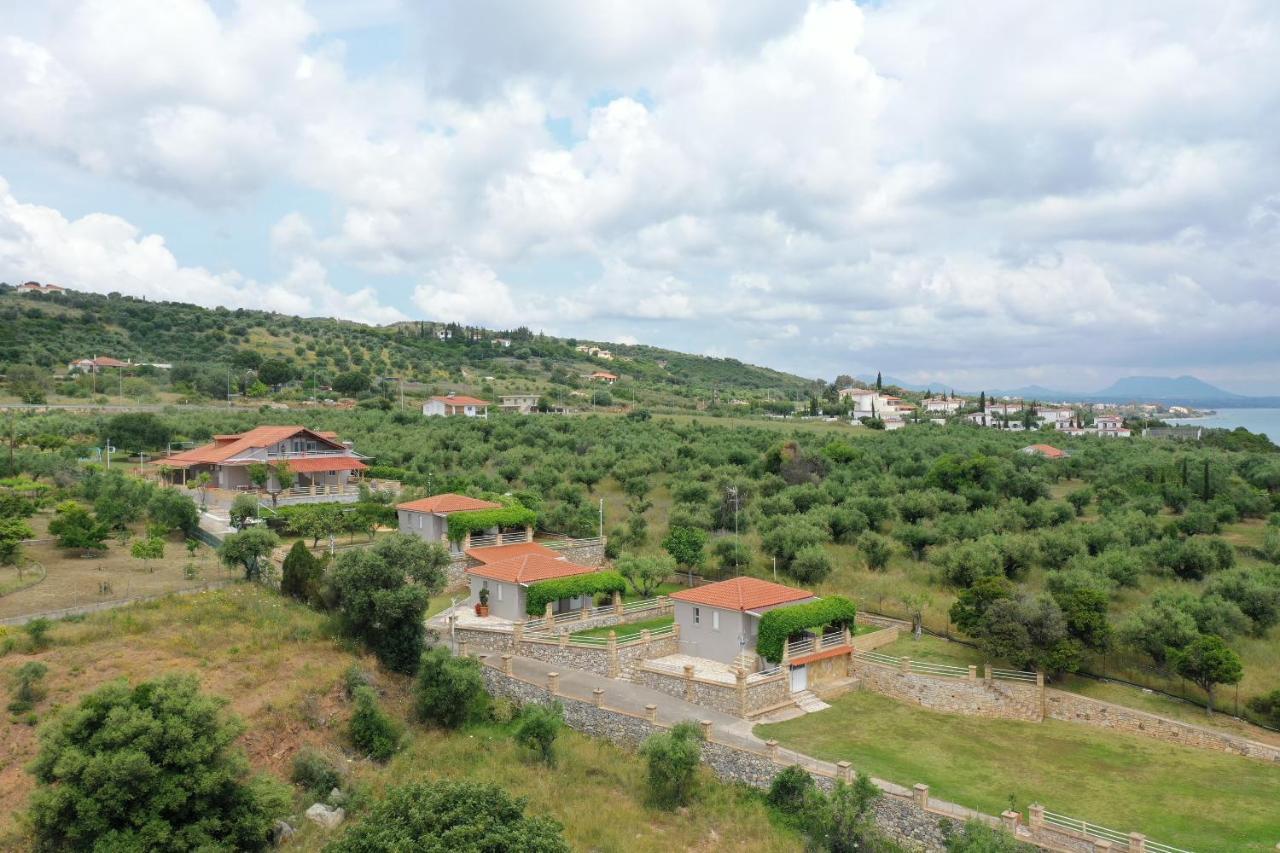 Alexandros Seaside Family Apartments & Villas - Paradise, 7' From Petalidi Kalamaki  Extérieur photo