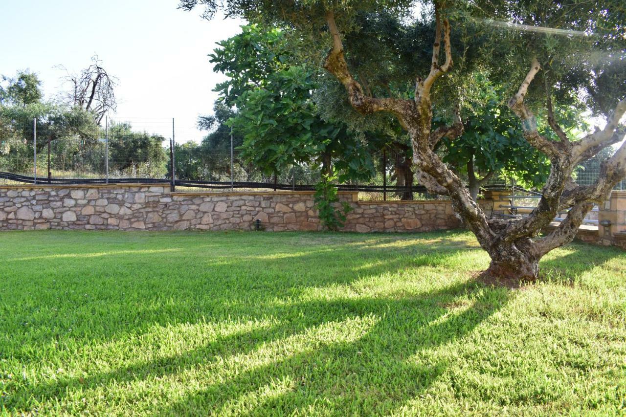 Alexandros Seaside Family Apartments & Villas - Paradise, 7' From Petalidi Kalamaki  Extérieur photo